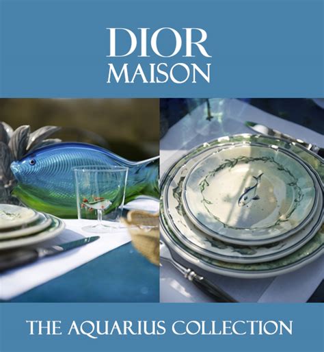 dior maison aquarius|Aquarius .